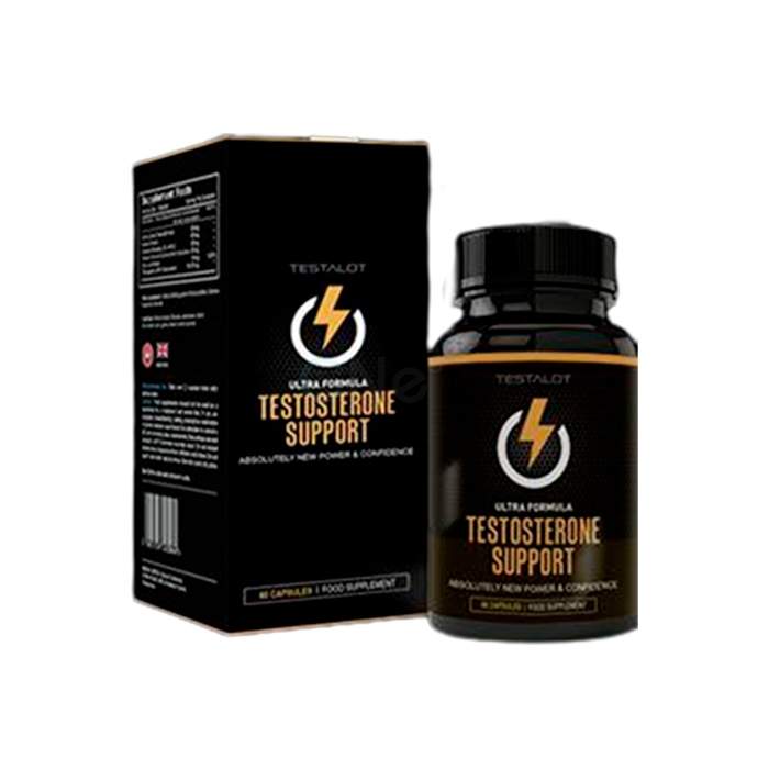 Testosterone Support - constructeur de muscle à lesprit